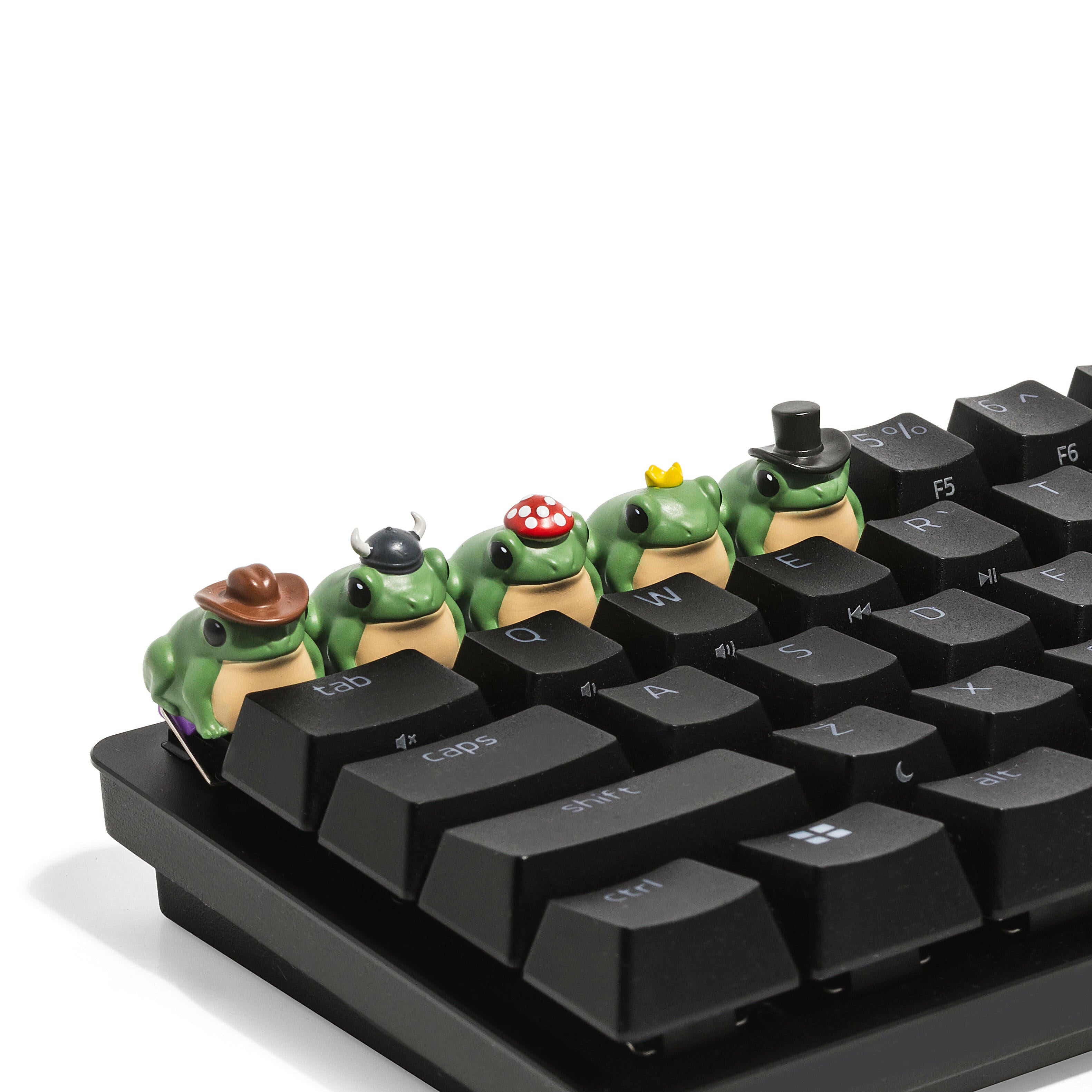 Frog Accessories Bundle